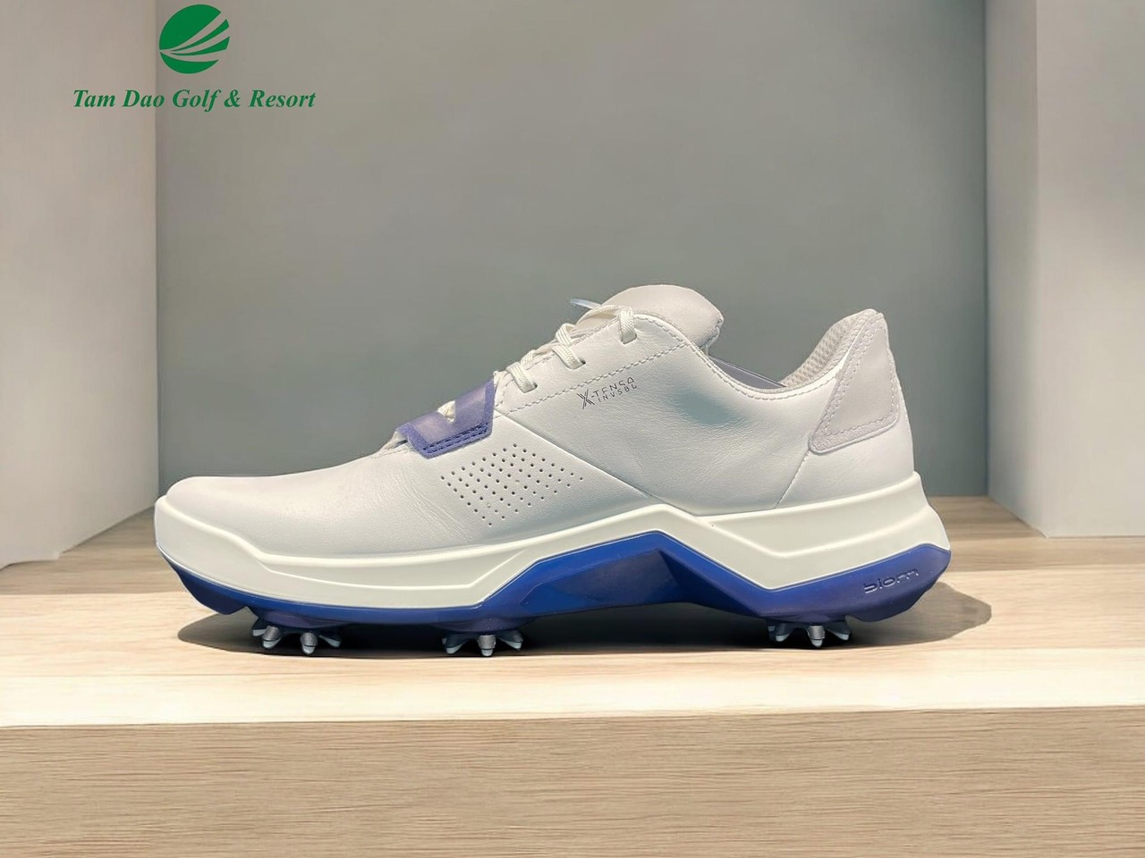 Giày ECCO nam Biom G5